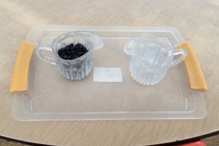 Montessori - Hướng dẫn Đổ hạt từ ly trong sang ly trong