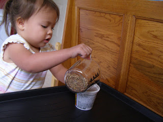 Montessori - Hướng dẫn Đổ hạt từ ly trong sang ly đặc